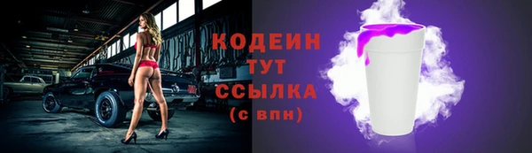 стаф Богородицк