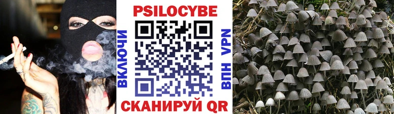Псилоцибиновые грибы GOLDEN TEACHER  что такое   Балашиха 